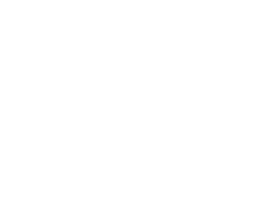 Site Seguro